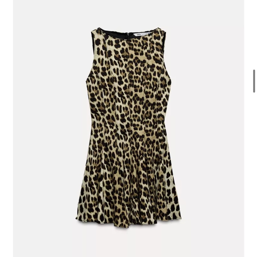 Zara Leopard Print Sleeveless Dress